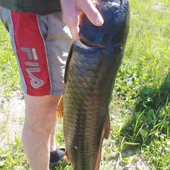 База отдыха Мечта, Челябинская область