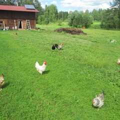 Гостевой дом Экоферма Серебрянка, Тихвинский район, Ленинградская область