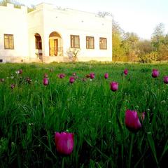  Золотая усадьба, Высокое, Крым