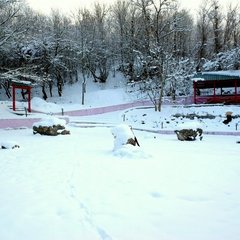  Золотая усадьба, Высокое, Крым