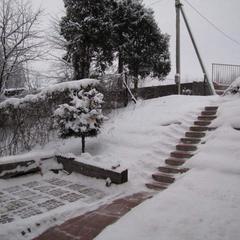 Гостевой дом Country House Dom Solntsa, Мытищи, Московская область