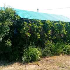 База отдыха Завьялово 22, Светлое, Алтайский край