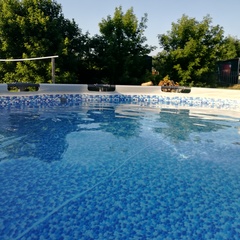 База отдыха Завьялово 22, Светлое, Алтайский край