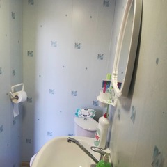 База отдыха Завьялово 22, Светлое, Алтайский край