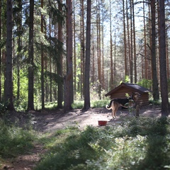 Гостевой дом Белые ночи, Суоярвский район, Республика Карелия