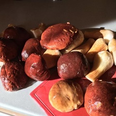 База отдыха Селигерский бережок, Осташков, Тверская область