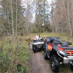 База отдыха Селигерский бережок, Осташков, Тверская область