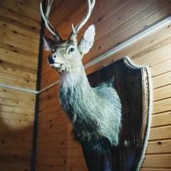 База отдыха Селигерский бережок, Осташков, Тверская область