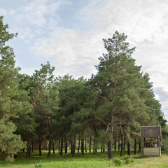 Турбаза Подшипник, Волжский, Волгоградская область