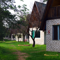 Турбаза Подшипник, Волжский, Волгоградская область