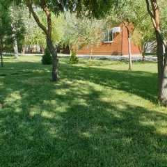 Туристическая база МЕЧТА, Бундин, Астраханская область