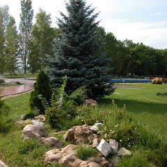 База отдыха Чардым-Дубрава, Воскресенский район, Саратовская область