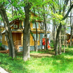 База отдыха Чардым-Дубрава, Воскресенский район, Саратовская область