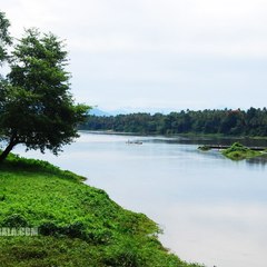 База отдыха Чардым-Дубрава, Воскресенский район, Саратовская область