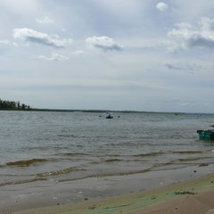 База отдыха Чардым-Дубрава, Воскресенский район, Саратовская область