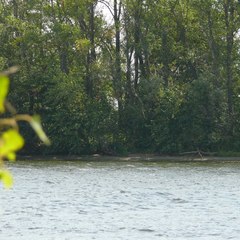 База отдыха Чардым-Дубрава, Воскресенский район, Саратовская область