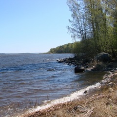 База отдыха Парус, Приозерский район, Ленинградская область