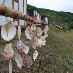 База активного отдыха Чинтамани кемп, Приморский край