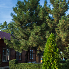 База отдыха Аквамарин, Светлоярский район, Волгоградская область