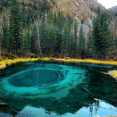 База отдыха  Сартакпай, Акташ, Республика Алтай
