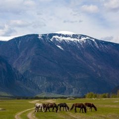 База отдыха  Сартакпай, Акташ, Республика Алтай