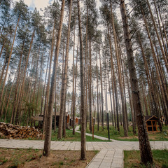 База отдыха Sherwood Park Hotel, Поселок Некрасовское, Ярославская область