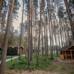 База отдыха Sherwood Park Hotel, Поселок Некрасовское, Ярославская область