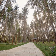 База отдыха Sherwood Park Hotel, Поселок Некрасовское, Ярославская область