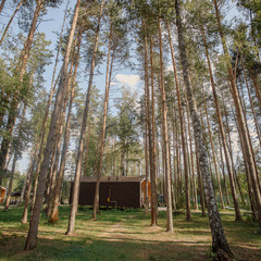 База отдыха Sherwood Park Hotel, Поселок Некрасовское, Ярославская область