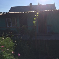 Дом отдыха Тишина, Завьялово, Алтайский край