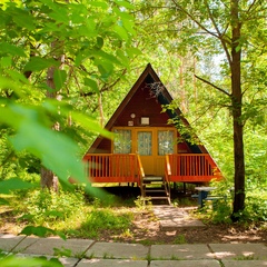 База отдыха Поршень, Ягодное (Самарская область), Самарская область, Самарская область