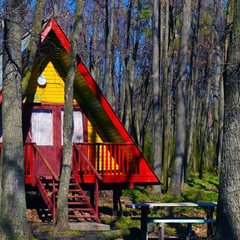 База отдыха Поршень, Ягодное (Самарская область), Самарская область, Самарская область