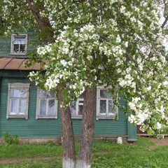 База отдыха Спарта, Уходово, Тверская область