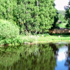 База отдыха Медная сова, Колывань, Алтайский край