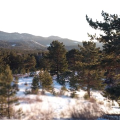 База отдыха Медная сова, Колывань, Алтайский край