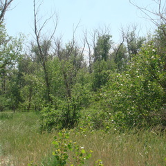 База отдыха Юбилейная, Среднеахтубинский район, Волгоградская область