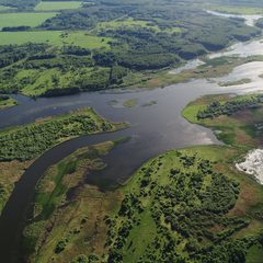 Загородная база отдыха GAGARINLOVE, Гагарин, Смоленская область