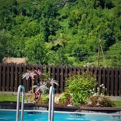 Гостевой дом ВТС, Ая, Алтайский край