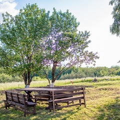 Этнографический ландшафтный комплекс Хутор Песочное, Медвенский район, Курская область
