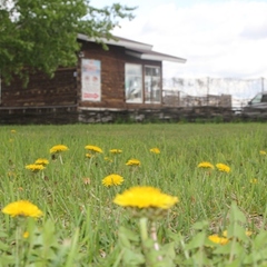 База отдыха Каменские Плёсы, Камень-на-Оби, Алтайский край