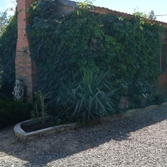 Гостевой дом Лотос, Вышка, Астраханская область