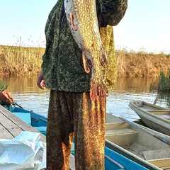 Гостевой дом Лотос, Вышка, Астраханская область