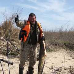 Гостевой дом Лотос, Вышка, Астраханская область