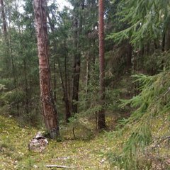 База отдыха Протва, Верея, Московская область