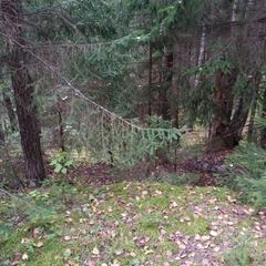 База отдыха Протва, Верея, Московская область