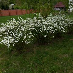 База отдыха Протва, Верея, Московская область