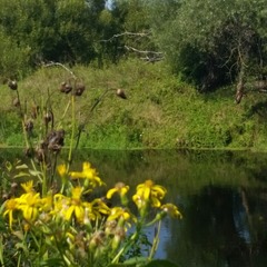 База отдыха Протва, Верея, Московская область