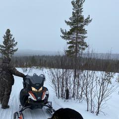 Рыболовная база Печа, Кольский район, Мурманская область