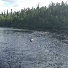 Рыболовная база Печа, Кольский район, Мурманская область