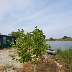 Дом рыбака Протока Кубани, Славянский район, Краснодарский край